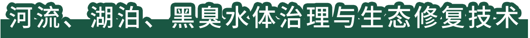 河流、湖泊、黑臭水體治理與生態(tài)修復(fù)技術(shù)